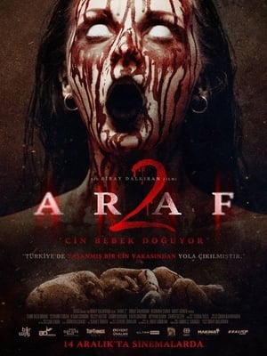 Araf 2 2019 Hindi Dual Audio 300MB
