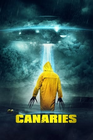 Canaries (2017) Hindi Dual Audio 300MB