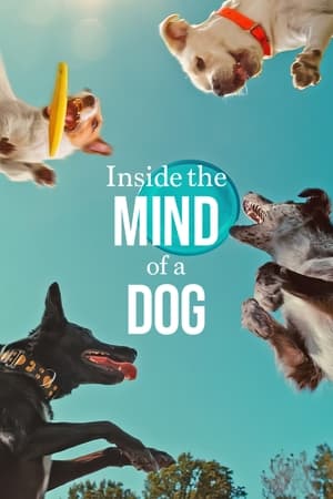 Inside the Mind of a Dog 2024 Hindi Dual Audio – –