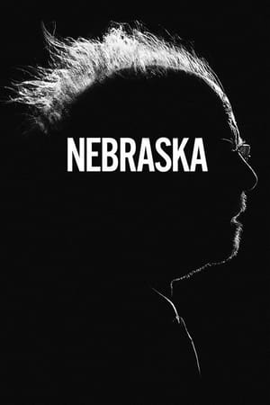 Nebraska 2013 Dual Audio Hindi Movie - 1GB