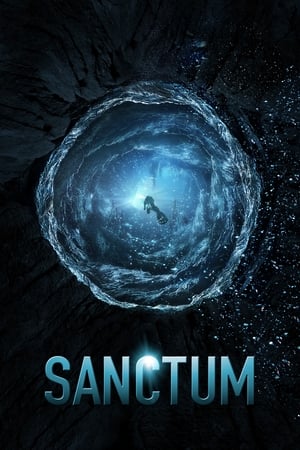 Sanctum (2011) Hindi Dual Audio [750MB]