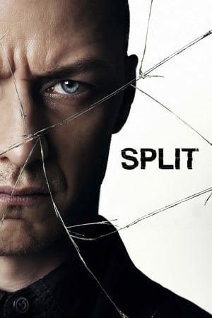 Split (2016) Hindi Dual Audio 400MB