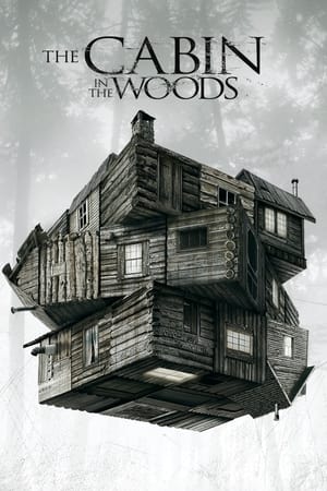 The Cabin in the Woods (2011) Hindi Dual Audio [990MB]