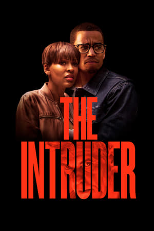 The Intruder (2019) Hindi Dual Audio [960MB]